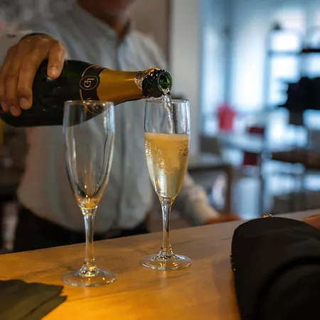 Ibis Centre 호텔 3*