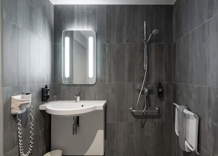 Hotel Ibis Centre 3*